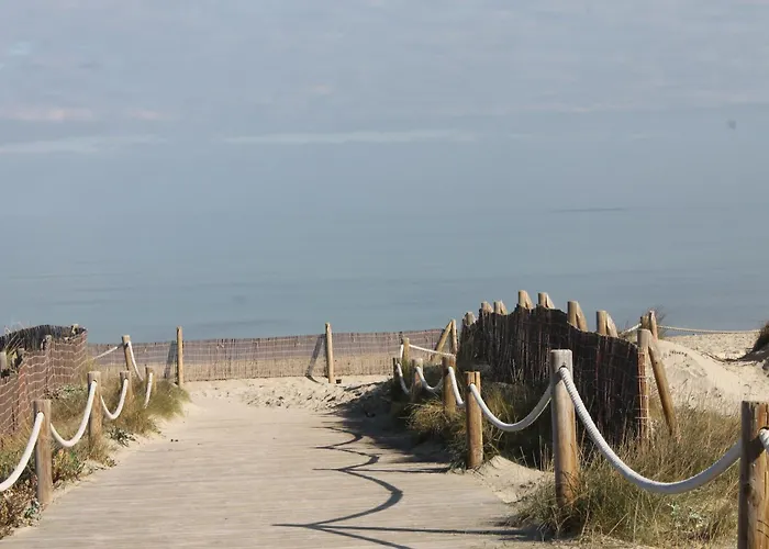 Noemi Near The * 캔 피카폴트