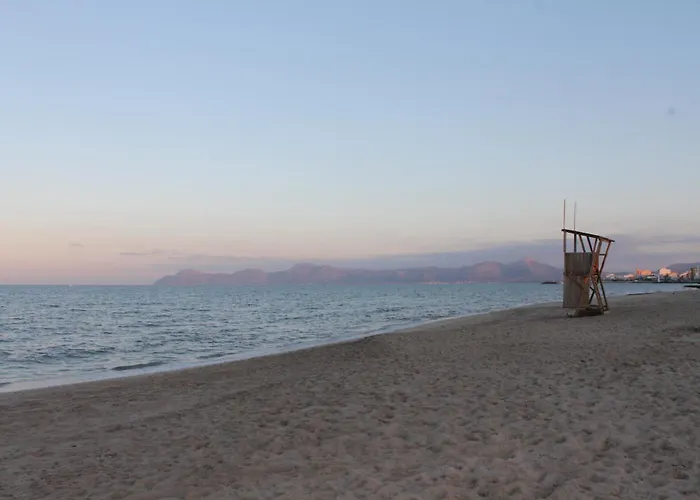 Noemi Near The * 캔 피카폴트